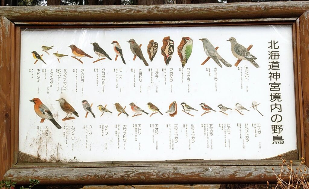 北海道神宮境内の野鳥の案内図