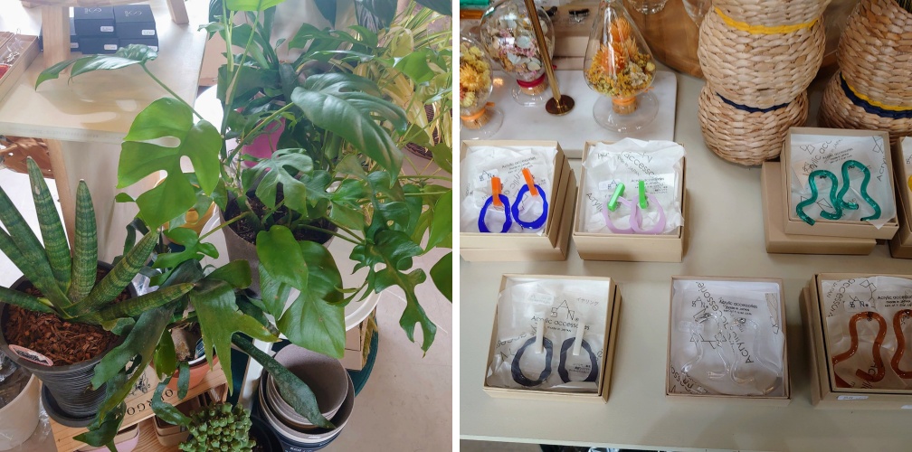 ノーリーズボタニカルカフェ2階の観葉植物や雑貨